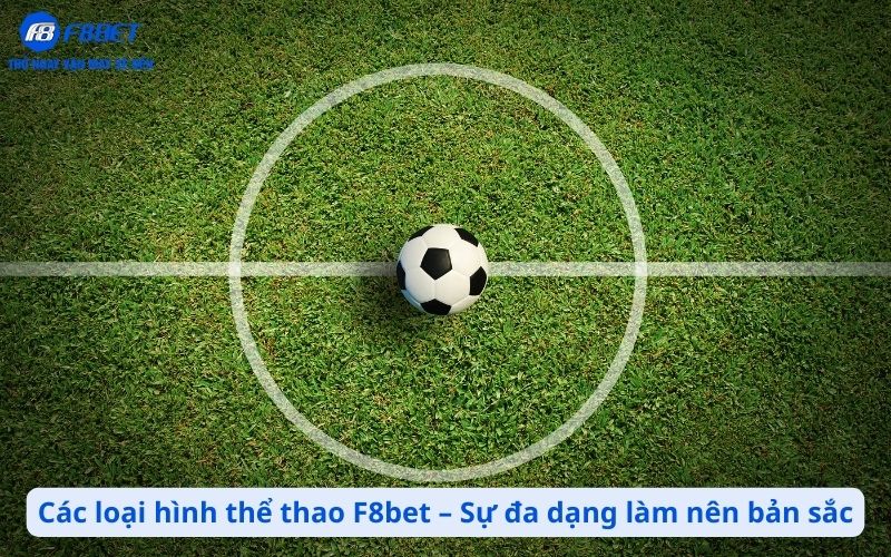 Các loại hình thể thao tại F8bet – Sự đa dạng làm nên bản sắc